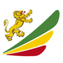 Ethiopian Airlines
